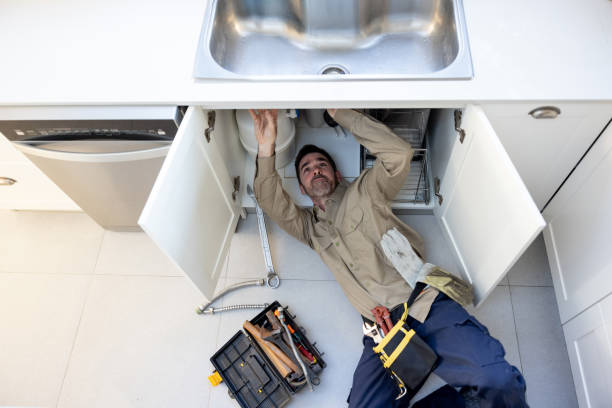 Best Plumbing Repair Near Me  in La Grange, IL