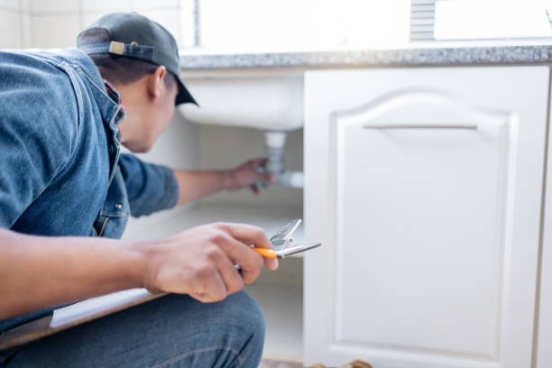 Best Sewer Line Repair  in La Grange, IL