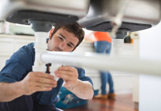 Best Same-Day Plumbing Service  in La Grange, IL