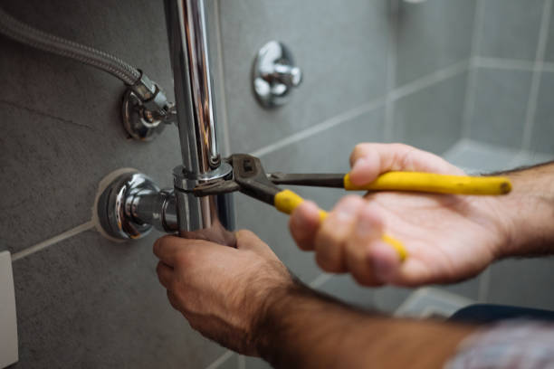 Best Emergency Plumbing Repair  in La Grange, IL
