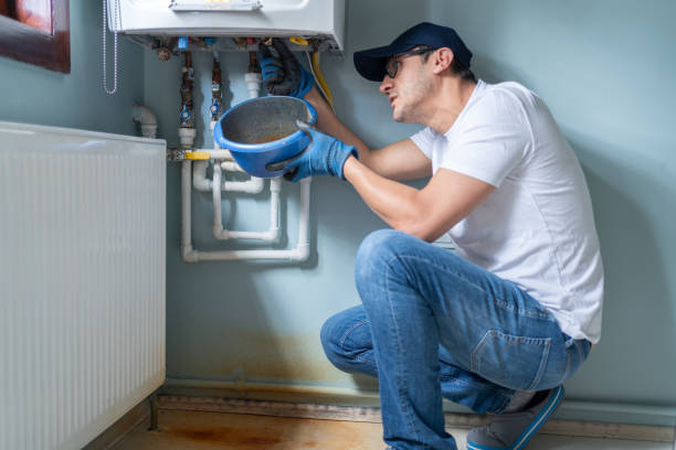 Best Plumbing Services Near Me  in La Grange, IL